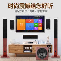  QiSheng/奇声 2301 卡拉OK 家庭影院音响套装