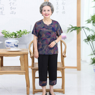 凡淑 2019夏季新品女装新款奶奶装套装老年人短袖t恤60-70岁妈妈装老太太两件套 JXALWNL035 2号色 3XL