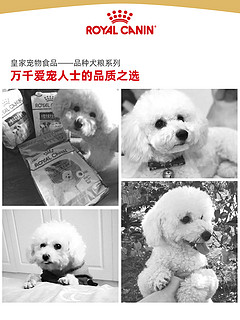 皇家狗粮 比熊成犬粮BF29/3KG*4 比熊成犬狗粮 比熊成犬粮BF29/3KG*4