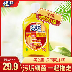绿伞 抗菌地板清洗剂1kg/瓶清洗剂实木复合地板大理石地板清洁杀菌