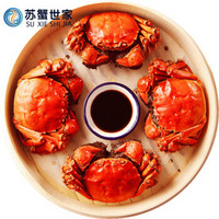 【活蟹】苏蟹世家 六月黄大闸蟹鲜活 10只装 1.5-2.0两/只 现货实物 螃蟹礼盒 海鲜水产