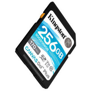 Kingston 金士顿 SDG3系列 SD存储卡 256GB（USH-I、V30、U3）