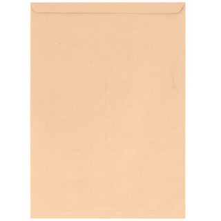 惠朗（huilang）40张加厚9号A4纸大信封 牛皮纸邮局标准信封文件袋2082