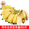 红美人香蕉 红皮香蕉 新鲜当季水果 小米蕉 芭蕉 小米蕉约2.5kg