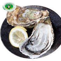 【领券第】【活鲜】海鲜颂 鲜活刺身生蚝海蛎 梅岭牡蛎 冷水蚝 刺身生蚝2.5kg(约15-20个)