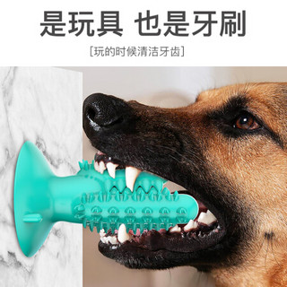 憨憨乐园  狗玩具狗狗牙刷清洁磨牙洁齿棒仙人掌外形幼犬成犬漏食器耐咬耐啃玩具