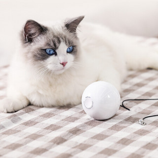 HomeRun霍曼 宠物肥宅快乐球 智能滚动球led闪光球激光逗猫球猫玩具球发光自动变向