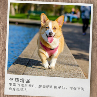 朗亲 通用形全价犬粮 5KG