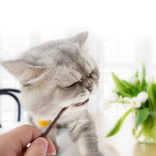 乐优派 木天蓼猫咪磨牙棒猫零食木天棍猫薄荷猫草猫玩具猫草猫用品