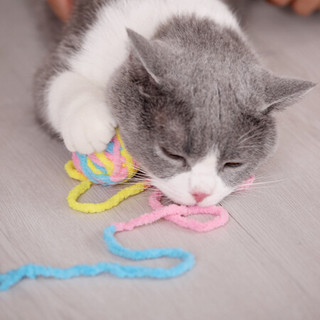 多格漫猫咪玩具 毛线QQ玩具球宠物逗猫玩具 乳白色