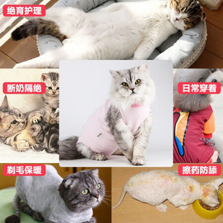 猫咪手术服母猫绝育衣服断奶驱虫防舔服防猫癣皮肤术后手术恢复服 蓝色 M