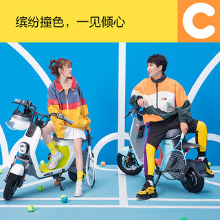 Ninebot九号新国标电动自行车C60电动车小型电瓶车代步车锂电池