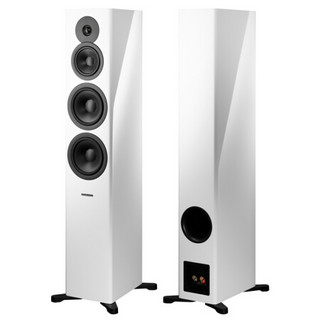 DYNAUDIO 丹拿 Evoke 50 2.0声道 居家 HI-FI音箱 高光白