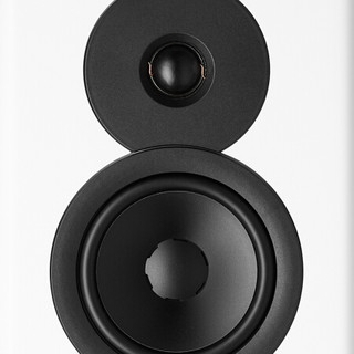 DYNAUDIO 丹拿 Evoke 50 2.0声道 居家 HI-FI音箱 高光白