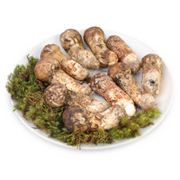 菌香园 野生松茸（3-5cm）250g*1盒 云南香格里拉 新鲜野生菌菇礼盒