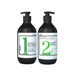 姜力 1号2号原生姜汁洗发露护发套装500ml 500ml