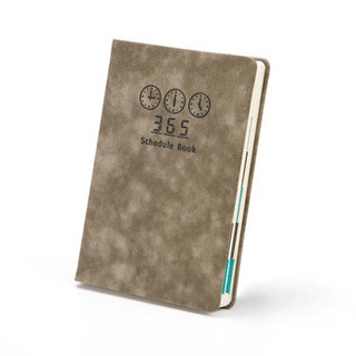 2020年商务日程本定制工作日志每日计划本时间轴效率手册日记本日历计划表记事本商务笔记本子 A5-灰色（单本）
