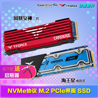 十铨M.2 NVMe SSD256G 512G 1T PCIe海王星水冷固态硬盘 风暴女神
