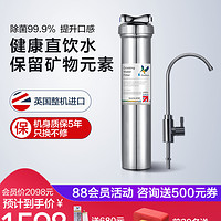 Doulton道尔顿净水器家用直饮DIS厨房净水机自来水龙头过滤器正品