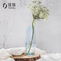 佳佰 现代简约小清新彩色水培玻璃花瓶创意餐桌摆件一枝花家居装饰品 天蓝色
