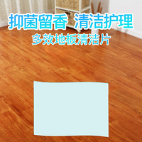 皇宇 多效地板清洁片家用地板清洁片多功能瓷砖木地板地砖清洁剂 2片