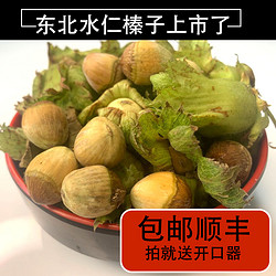 木乃壳坚果 水仁东北青皮大榛子 清香原味 仁大饱满带皮臻子500g