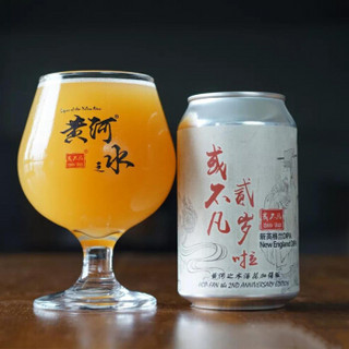 或不凡 IPA啤酒6口味组合装 330ml