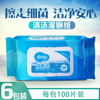 【开学必备】3大包共300片家庭装湿厕纸私处清洁湿巾纸卫生成人湿纸巾 3包共300片