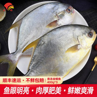 裕峰 条冻金鲳鱼400g/条 新鲜冷冻大金鲳鱼 深海鲜活 水产 平鱼 扁鱼 海鲜 生鲜 鱼类 条冻大金鲳鱼400g*3