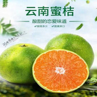 【秦油禾】2020云南新鲜青皮蜜桔应季水果青皮薄皮蜜桔大果现摘现发 9斤