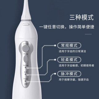 博皓（prooral）冲牙器洗牙器水牙线洁牙器便携牙齿清洁器正畸5002新款 玻璃蓝共6支喷嘴