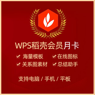 正版WPS超级会员 / WPS会员 / WPS稻壳会员 兑换码 月卡/年卡 PDF转Word WPS 超级会员1年
