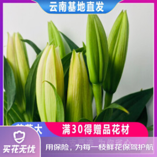 云南昆明花材批发香水百合花鲜花鲜花速递结婚纪念日生日礼物随机百合单次体验10朵 报价价格评测怎么样 什么值得买 云南昆明花材批发香水百合花鲜花鲜花速递结婚纪念日生日礼物随机百合单次体验10朵 报价价格评测怎么样 什么值得买