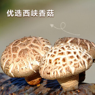 仲景香菇酱800g家庭实惠装四种口味拌面配粥夹馍网红辣椒蘑菇酱 800g原味促销（2020年老包装）