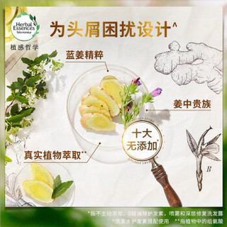 植感哲学HerbalEssences 去屑蓝姜洗发水400ml+护发素180ml赠洗100ml+护65ml氨基酸无硅油生姜洗发露洗护套装