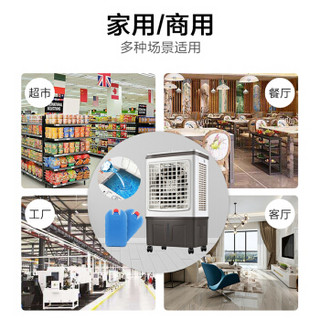 长虹（CHANGHONG）大型可移动冷风机/工业冷风扇/家用商业用空调扇/网吧餐厅冷风扇/车间工业扇 RFS-1253