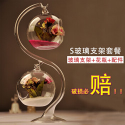 MOHO-ZOOM 贸号 双悬挂玻璃水晶花瓶