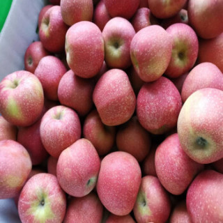 商品【秦油禾】2020年陕西脆甜苹果青木森苹果丑苹果新鲜当季,产地