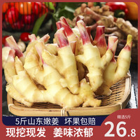 壹亩地瓜