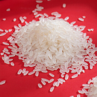 珍尚米 东北大米 五常稻花香米5kg 鼠年定制鸿运吉稻 粳米10斤