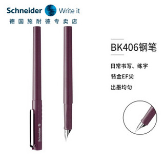 Schneider 施耐德 德国进口学生钢笔BK406三年级可换墨囊EF尖0.38 带笔筒 墨囊需要另购