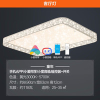 欧普照明（OPPLE）经典鸟巢 客厅灯led吸顶灯中式卧室灯阳台灯长方形餐厅灯圆形全屋灯具套餐童年 （客厅单灯）智控AI调光可接小爱/小度-童年