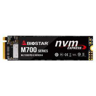 映泰(BIOSTAR) 512GB SSD固态硬盘 M.2接口（NVMe协议）