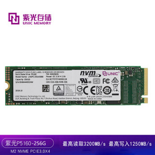 紫光存储 256GB SSD固态硬盘P5160系列M.2接口PCIE3.0X4（NVME协议 带DRAM独立缓存）企业级颗粒 五年质保