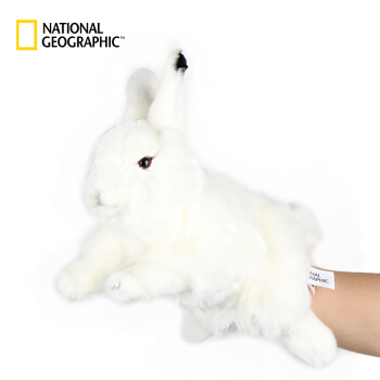 国家地理NG手偶系列 北极兔28cm 仿真动物毛绒玩具公仔亲子送女友生日礼物 770872