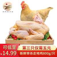 【原阳馆】三黄鸡 老母鸡 土鸡笨鸡新鲜鸡肉生鲜 约800g/只 富润士 1只装