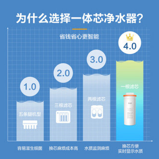 美的（Midea）京品家电智能黑珍珠D500除菌净水器 RO反渗透 厨下式一体芯 TDS智能水龙头纯水机MRO2008-500G