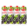 波兰进口 富尔图娜果汁 果汁饮料 黑加仑果汁1L*4瓶