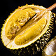 京觅 马来西亚猫山王榴莲D197（带壳) 单果3.0-3.5斤冷冻水果