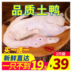 名滋园 土鸭子整只新鲜冷冻白条鸭肉 生鲜 *8件